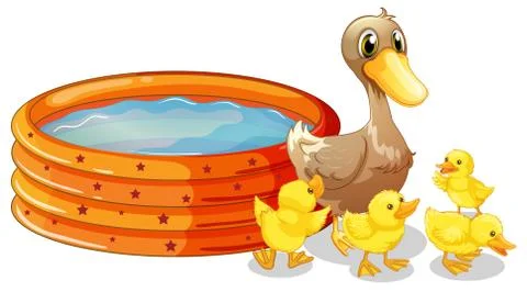 An inflatable pool at the back of the five ducks Stock Illustration