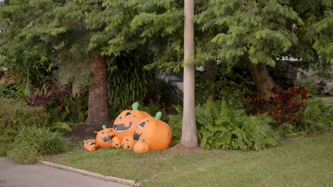 Inflatable pumpkin patch Halloween decorations Stock Footage 164131180