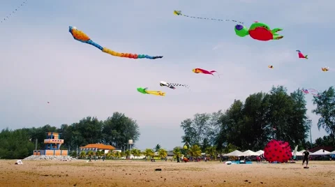 Inflatable Stingray And Turtle Kite, Flying on The Beach Stock Footage 53230513