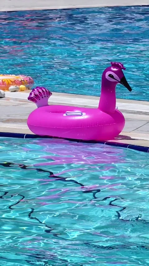 Inflatable swimming ring and bird toy near swimming pool during a sunny day. Video stock 314934936
