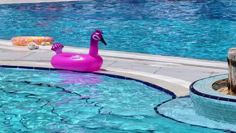 Inflatable swimming ring and bird toy near swimming pool during a sunny day. Stock-Footage 315066852