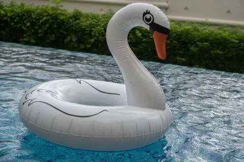 Inflatable white swan in the pool Stock Photos