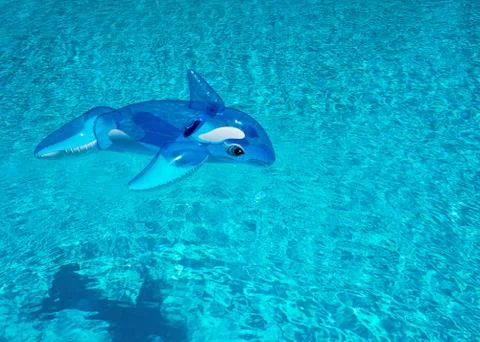 An inflatatble toy in a pool Stock Photos