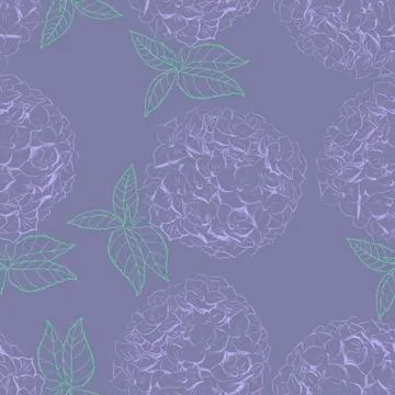 Inflorescence Hydrangea randomly arranged in seamless pattern, vector Illustrazione stock