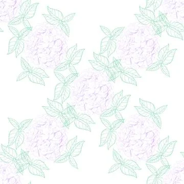 Inflorescence Hydrangea randomly arranged in seamless pattern, vector Illustrazione stock