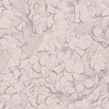 Inflorescence Hydrangea randomly arranged in seamless pattern, vector Stock Illustration