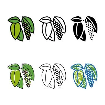 Inflorescence pepper color icon vector multistyle Stock Illustration