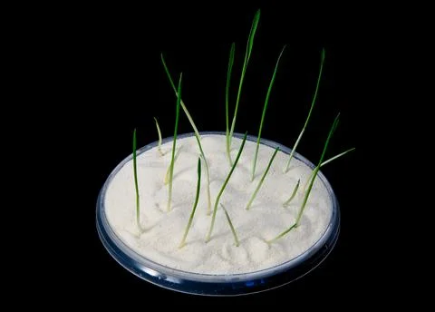 Influence of spring Stock Photos