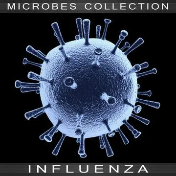 Influenza 3D Model