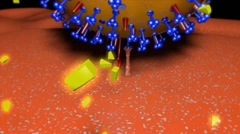 Influenza Part3 Stock Footage 21070231