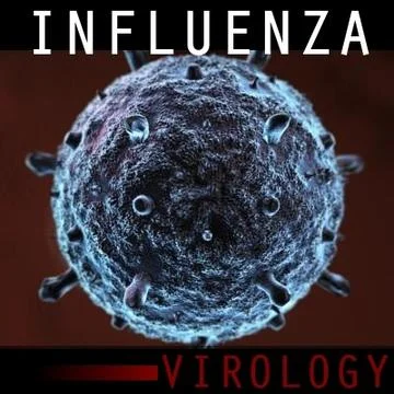 Influenza Virus 3D Model
