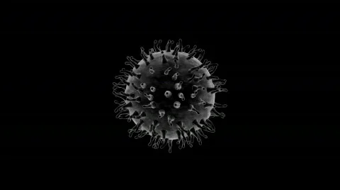 Influenza virus Stock Footage 159936
