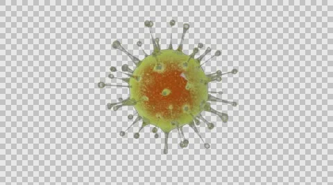 Influenza virus Stock Footage 61129795