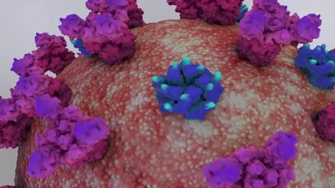 Influenza virus Video stock 283535986