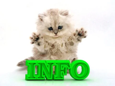 INFO  Feathery kitty with feathery raised upwards paws on white background.. Stock Illustration