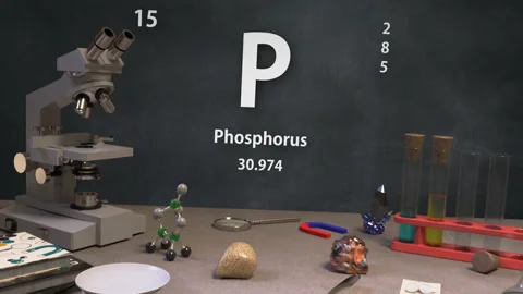 Infographic of 15 Element P Phosphorus of the Periodic Table Stock Footage 138712756