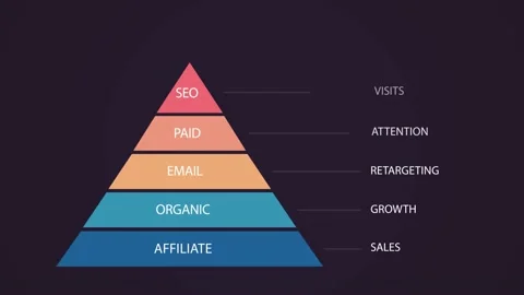 Infographic 61 Stock Footage 224263902