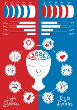 Infographic Of Brain Stock Illustration
