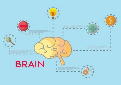 Infographic Of Brain Illustrazione stock