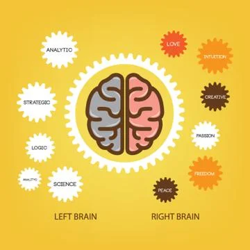 Infographic Of Brain Illustrazione stock