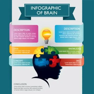 Infographic Of Brain Illustrazione stock