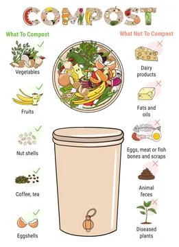 Infographic of composting bin with kitchen scraps. What to or not to compost. Stock Illustration