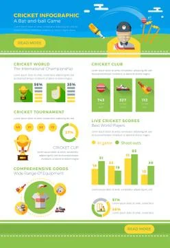 Infographic Cricket Poster イラスト素材