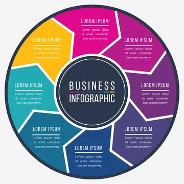Infographic design circle 8 steps or options business information Illustration