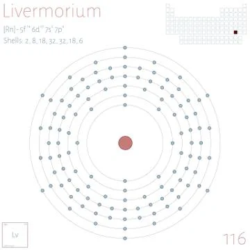 Infographic of the element of Livermorium Stock Illustration