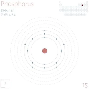 Infographic of the element of Phosphorus Stock Illustration