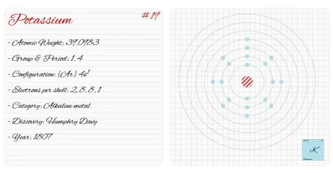 Infographic of the element of Potassium Stock Illustration