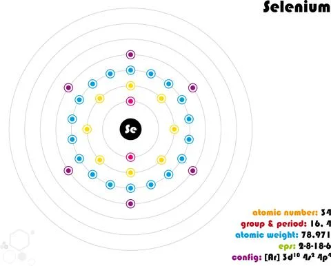 Infographic of the element of Selenium Stock Illustration