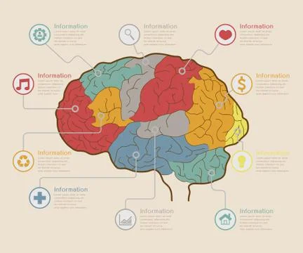 Infographic Elements , Brain concept , eps10 vector format Illustrazione stock
