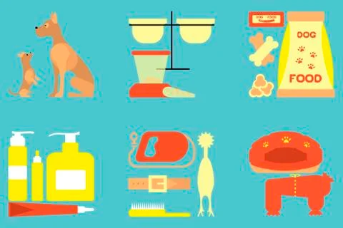 Infographic elements with dog care Stock Illustration