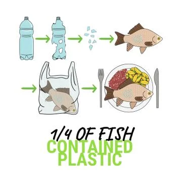 Infographic of fish with microplastics on the plate Stock Illustration