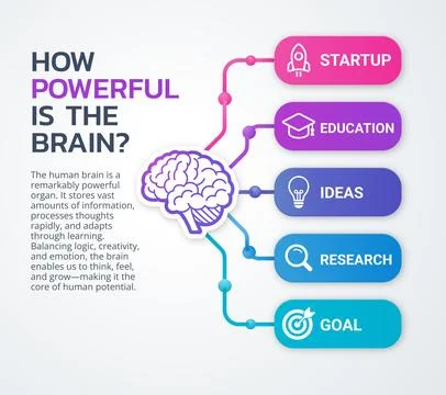 The infographic, How Powerful Is the Brain highlights the incredible Illustrazione stock