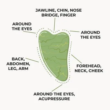Infographic of how to use gua sha scraping massage stone heart shaped is made Stock Illustration