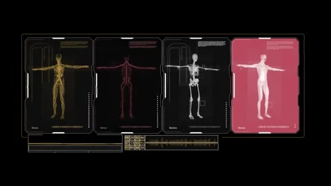 Infographic on hud interface with skeletal nervous muscular system Stock Footage 284464219