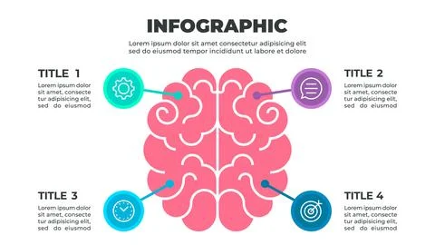 Infographic illustrating a four-step process related to learning or persona.. Stock-Illustration