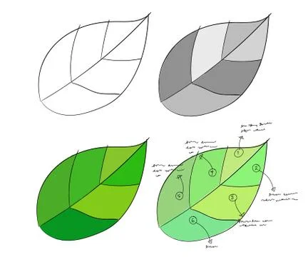 Infographic leaf green set collection hand drawn sketches white isolated Иллюстрация