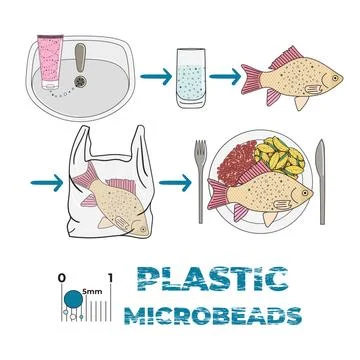 Infographic of microplastics in cosmetics. Micro beads in water Stock Illustration