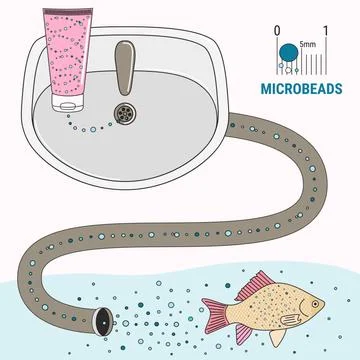 Infographic of microplastics in cosmetics. Micro beads in water Stock Illustration