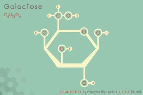 Infographic of the molecule of Galactose Stock Illustration
