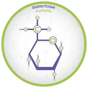 Infographic of the molecule of Galactose Stock Illustration