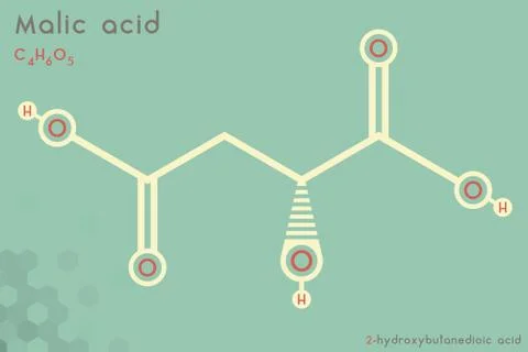 Infographic of the molecule of Malic acid Stock Illustration