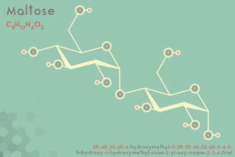 Infographic of the molecule of Maltose Stock Illustration