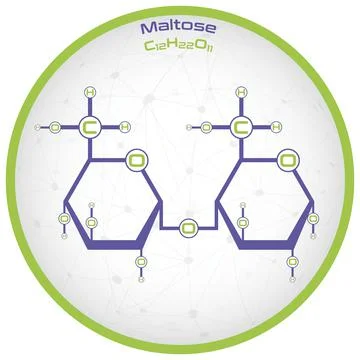Infographic of the molecule of Maltose Stock Illustration