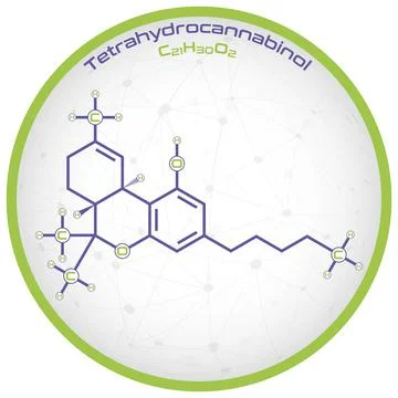 Infographic of the molecule of THC Stock Illustration