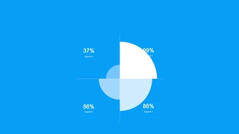Infographic pie chart 61 Stock Footage 225843750