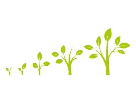 Infographic of planting tree. Stock Illustration